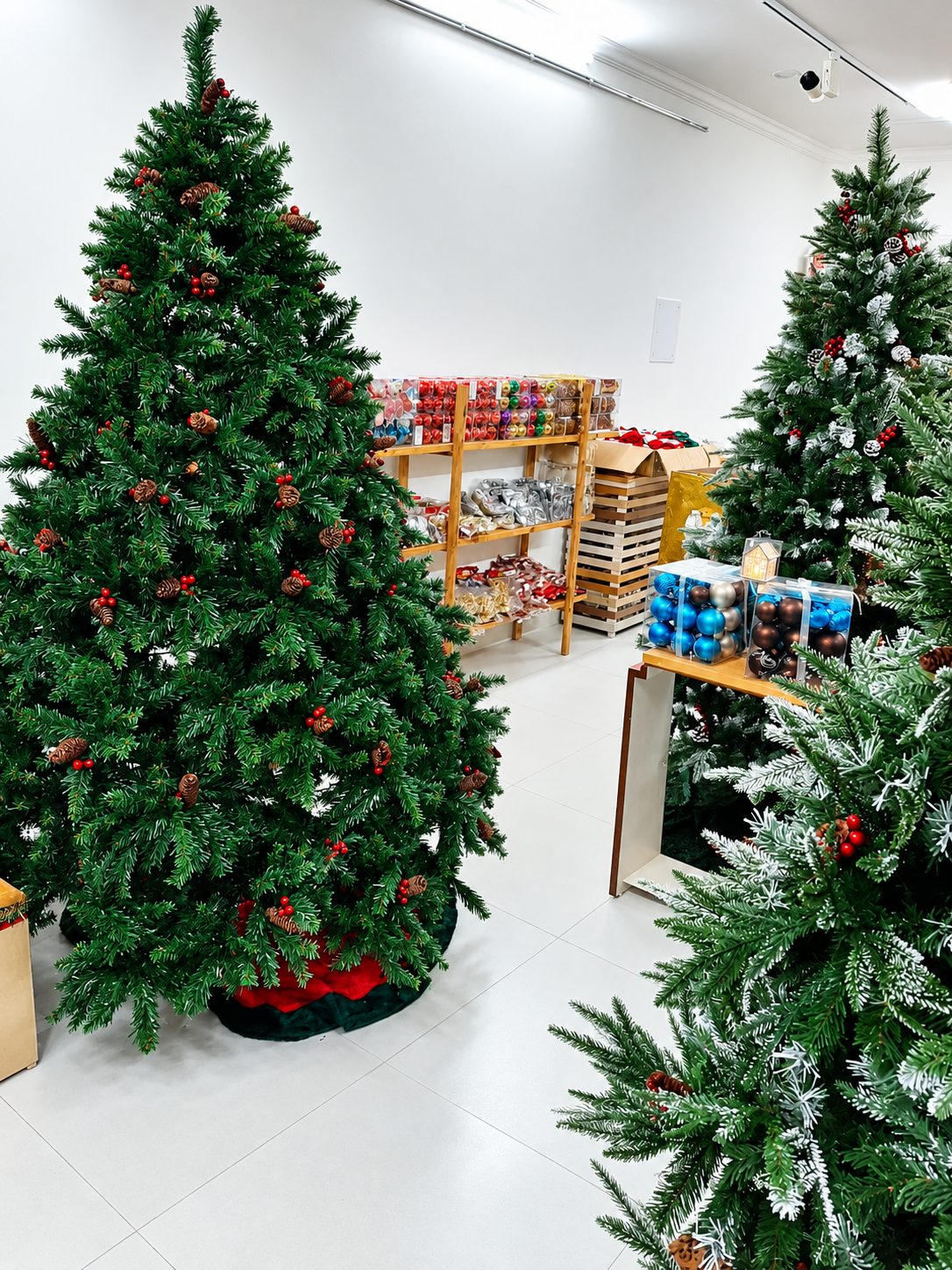 8 feet Greekwood Spruce Christmas trees displayed at Santa Stores