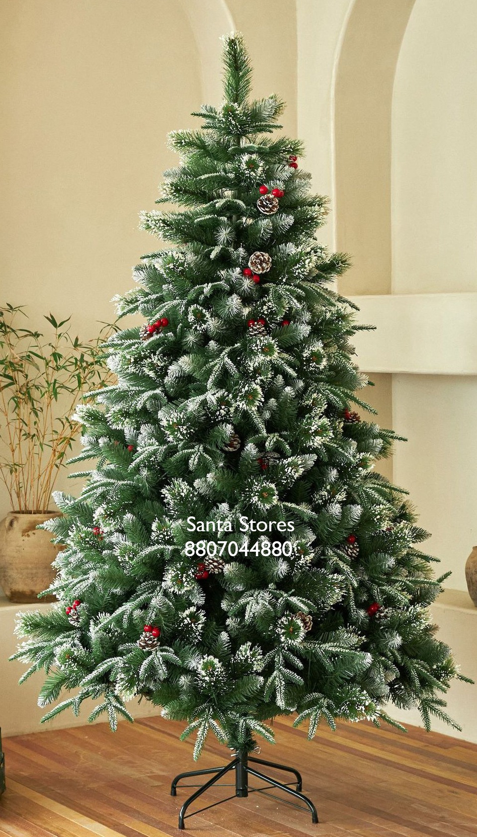 Website Imperial Fir Buy Imperial Fir Christmas Tree Online in India