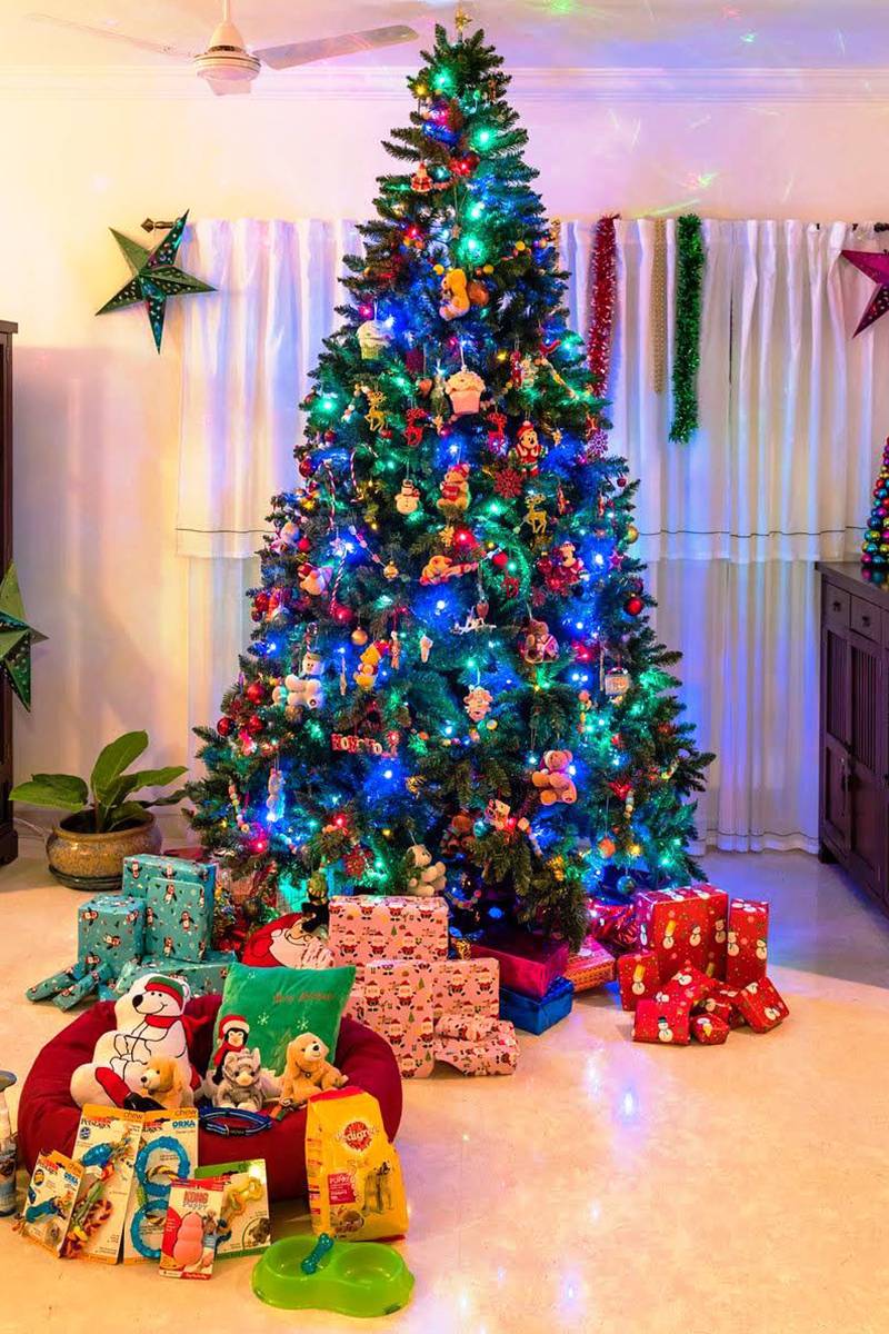 Buy Christmas trees online in India from Santa Stores with realistic artificial foliage and festive designs