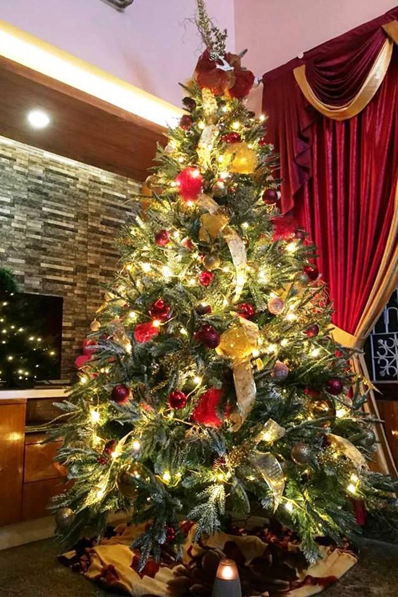 Santa Stores Christmas trees available online in India in different sizes, styles and festive designs